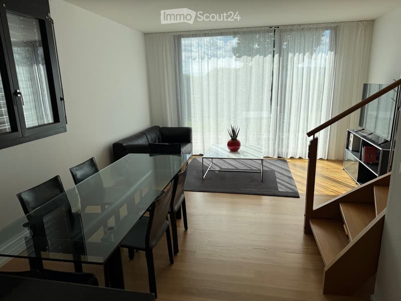 Modern living and dining area with light wooden flooring, large windows with white curtains, a black leather sofa, a glass dining table with black chairs, a small coffee table with a potted plant, and a shelf with a TV and books.
