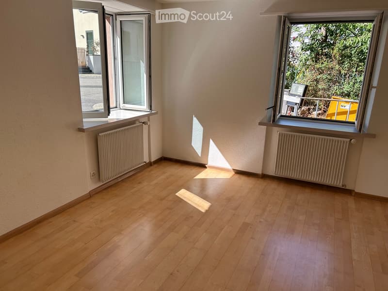 Empty room with wooden flooring, light-colored walls, and two large windows with radiators beneath them.