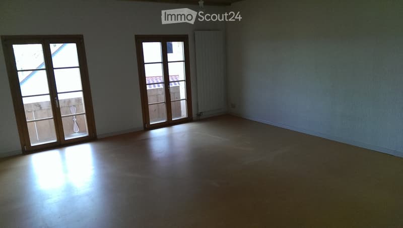 Empty room with wooden flooring, two large glass doors, and a radiator on the wall.