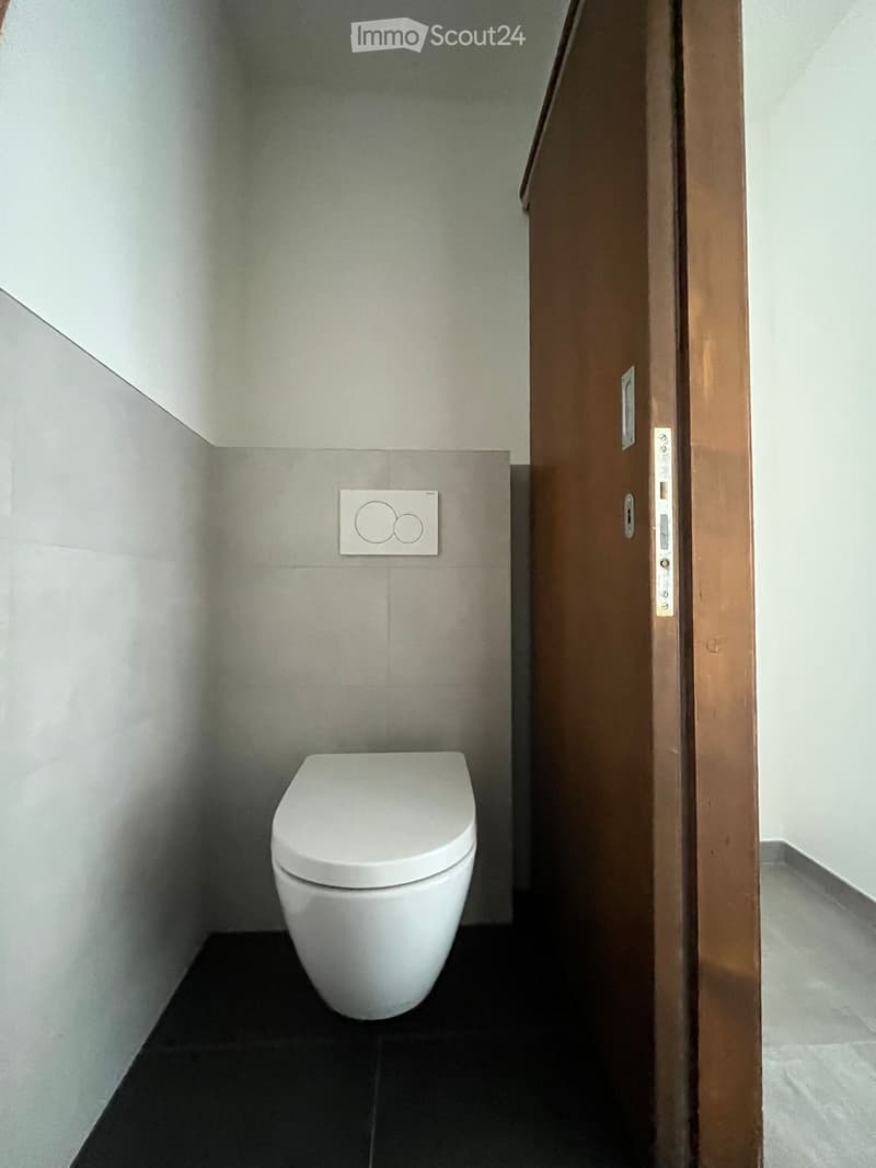 Modern, compact bathroom with a white toilet, dark tiled floor, and light grey walls. A wooden door is partially open to the right.