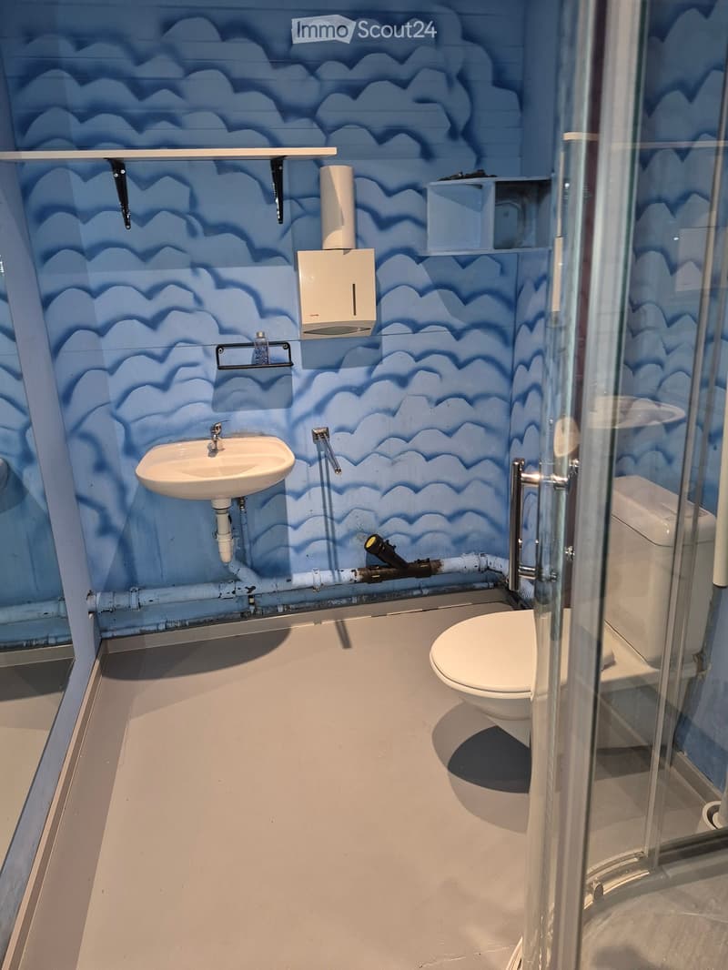 Modern bathroom with blue cloud-patterned walls, white sink, toilet, and glass shower stall.