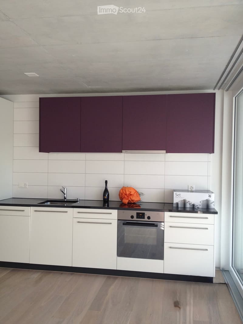 Modern kitchen with white and dark purple cabinets, black countertop, stainless steel sink, and built-in oven. Wooden floor and large window visible.