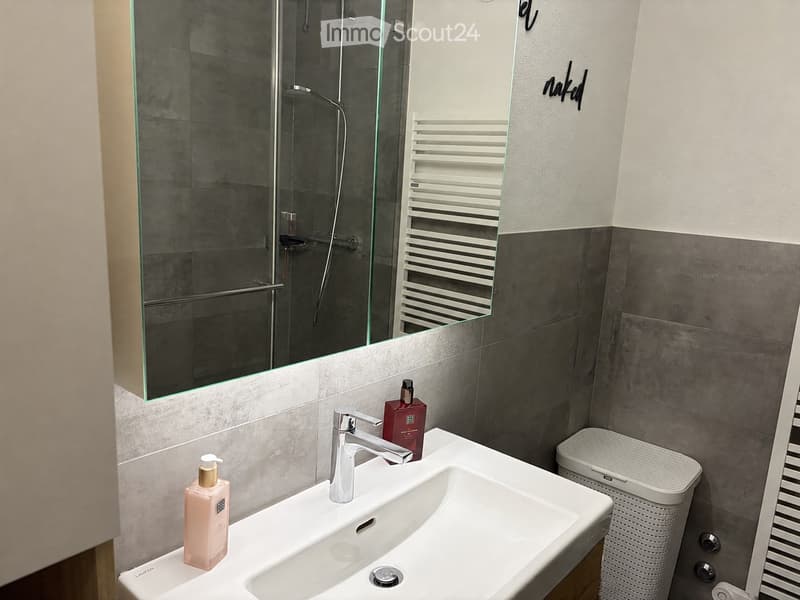 Modern bathroom with a white sink, chrome faucet, toilet, and two bottles on the sink counter. A large mirror reflects a glass-enclosed shower area with a white radiator visible in the reflection.
