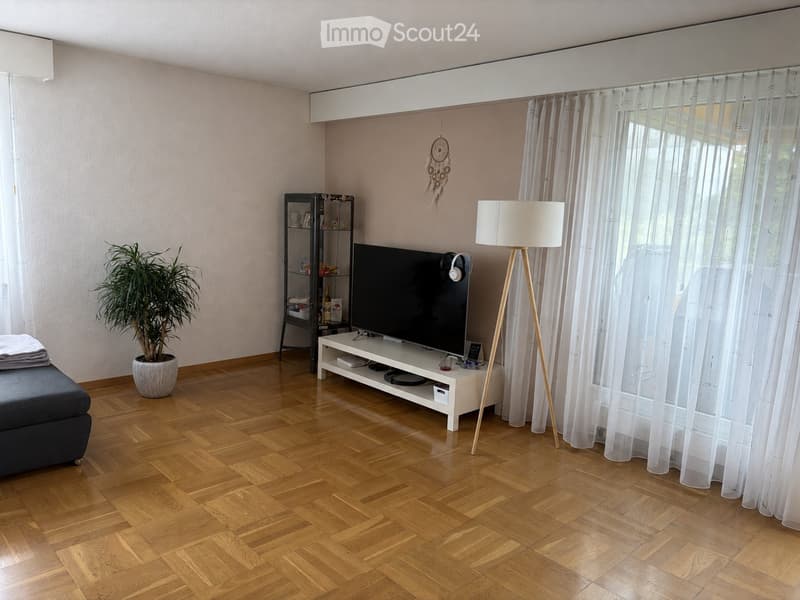 Modern living room with wooden parquet flooring, large windows with sheer curtains, a grey sofa, a flat-screen TV on a white stand, a floor lamp, a potted plant, and a black shelving unit.
