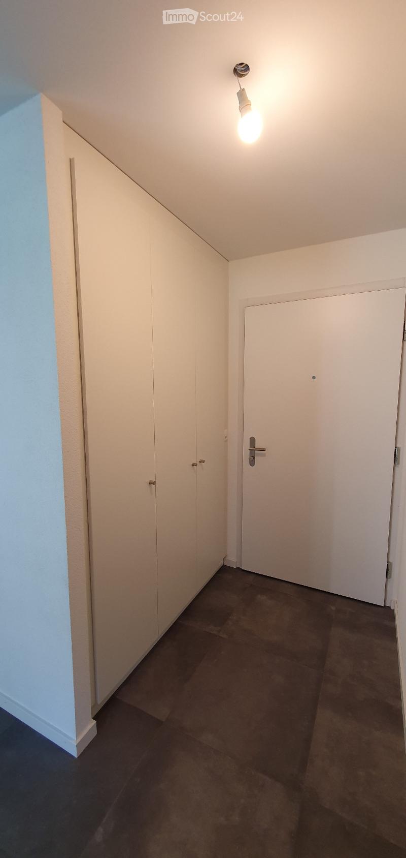 Empty hallway with white walls, dark flooring, built-in closet, and a single light fixture.