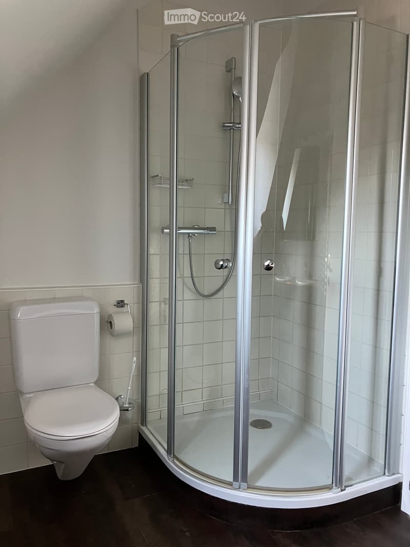 Modern bathroom with a white toilet, a glass-enclosed shower stall, and a dark tiled floor.