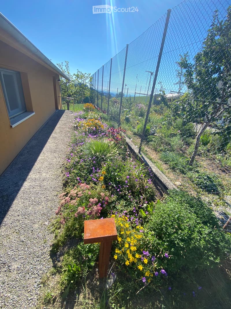 Garden area with a gravel pathway, colorful flowers, and a wooden bird feeder, enclosed by a chain-link fence.