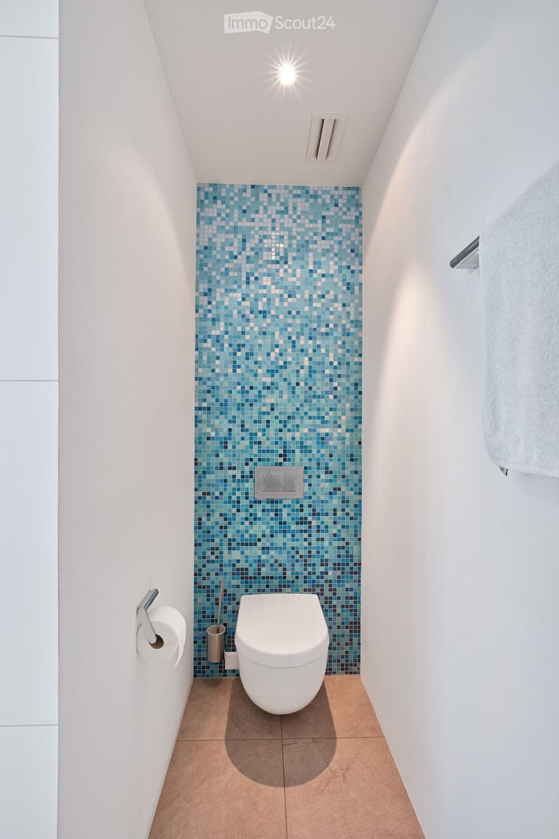 Modern bathroom with white walls, blue mosaic tiles on one wall, a toilet, toilet paper holder, and a towel on a rack.
