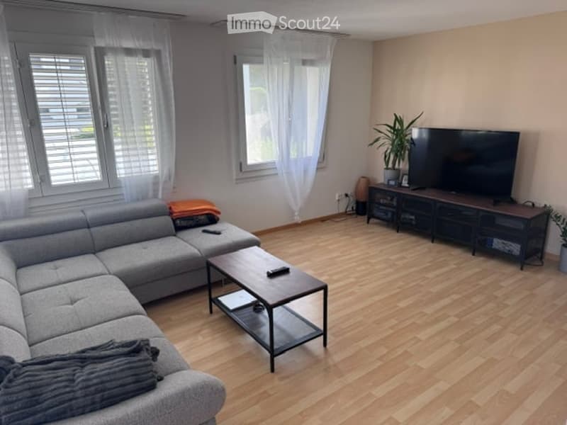 Modern living room with grey sectional sofa, coffee table, TV stand, and a potted plant. The room features large windows with white blinds and wooden flooring.