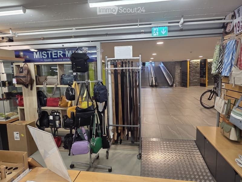 Retail store interior with handbags, backpacks, and belts displayed on racks and shelves. A counter and bicycle are also visible.