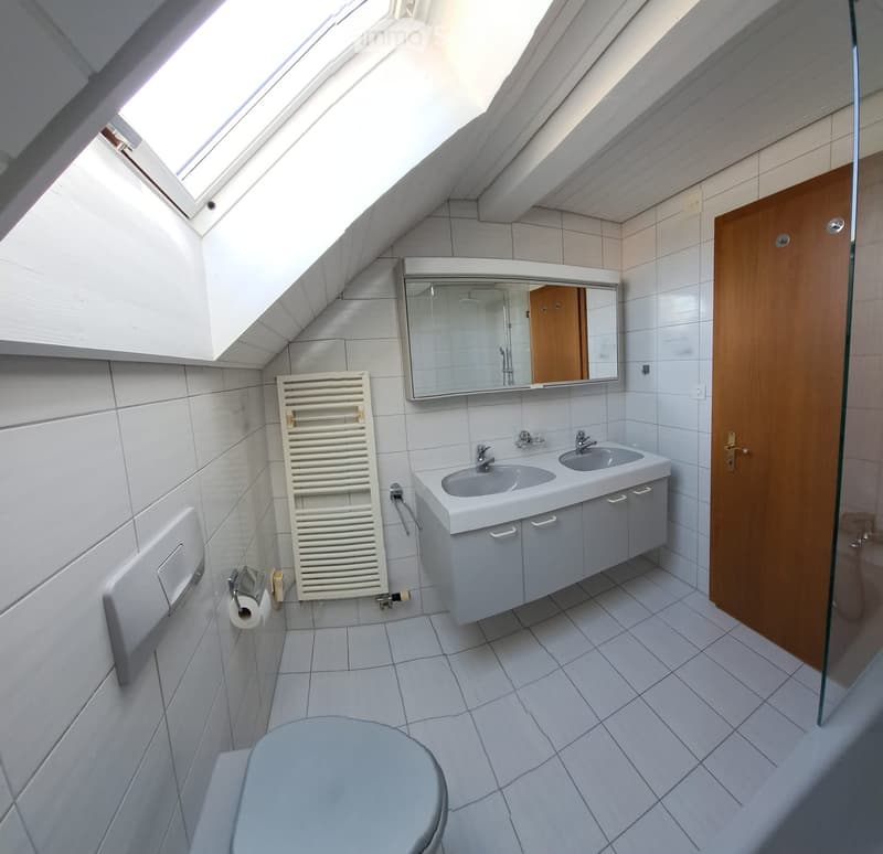Modern bathroom with white tiles, double sink, mirror, radiator, toilet, and a glass shower enclosure.
