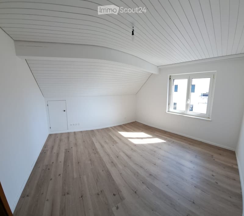 Empty attic room with wooden flooring, white walls, and a skylight window. The ceiling has exposed wooden beams and a single light fixture.