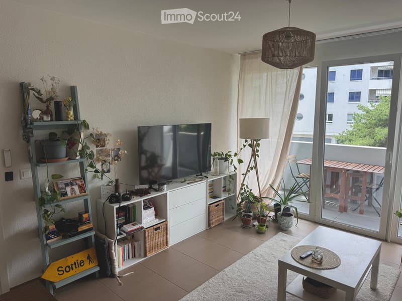 Modern living room with a large sliding glass door leading to a balcony, a white coffee table, a shelf with books and potted plants, a television, a floor lamp, and a small table on the balcony.