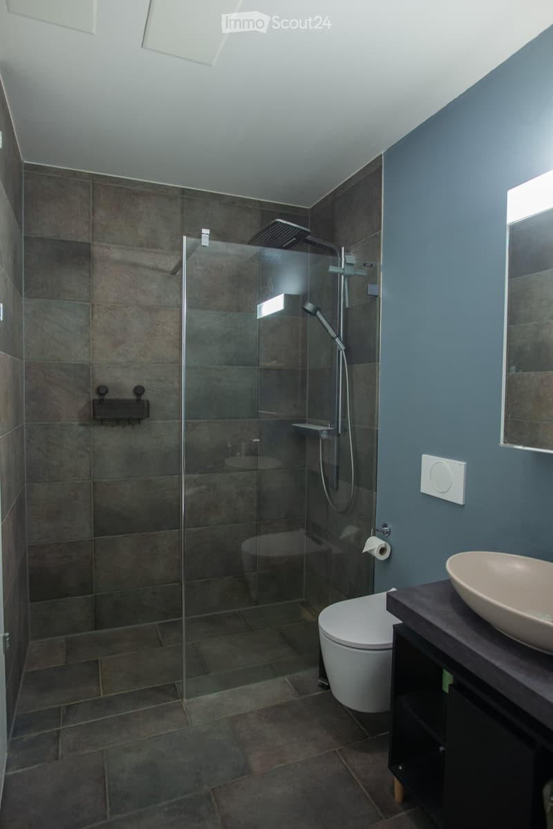 Modern bathroom with dark grey tiles, a glass-enclosed shower, a toilet, a sink with a modern faucet, and a mirror on the wall.