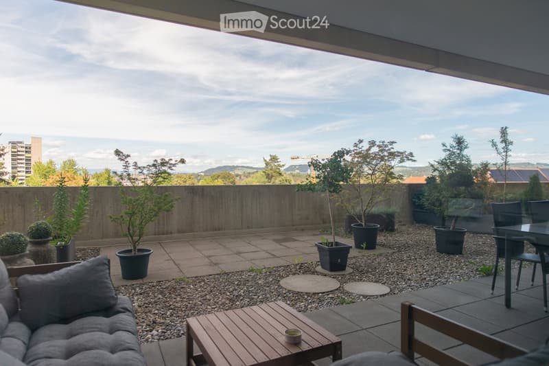 A modern rooftop terrace with a grey sofa, wooden coffee table, dining table, and several potted plants arranged on a gravel-covered area.