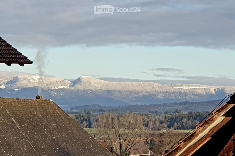 Roof of a building with a scenic mountain backdrop, snow-capped peaks, and a forested valley.