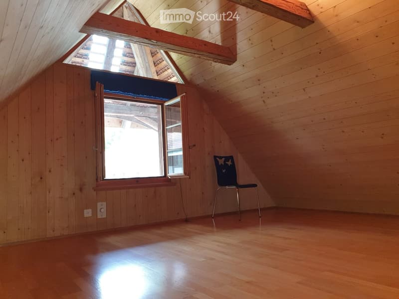 Attic room with wooden walls and floor, large skylight window, and a single chair.