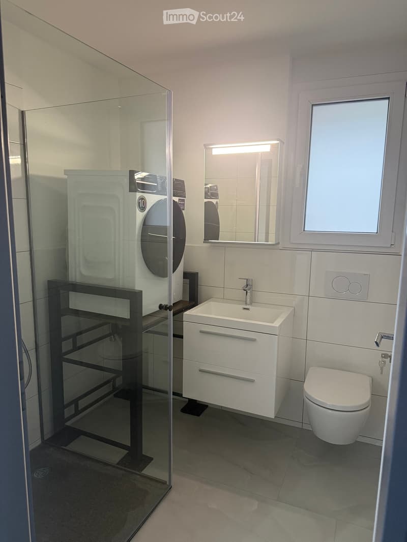 Modern bathroom with a white sink, toilet, mirror, and a glass-enclosed shower stall.