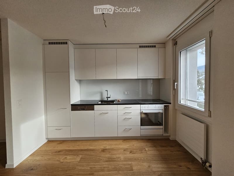 Modern kitchen with white cabinets, wooden flooring, and stainless steel appliances including a sink, oven, and dishwasher.