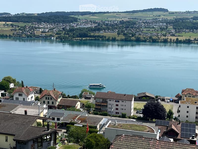 Aerial view of a town with houses, a lake, and a boat on the water.