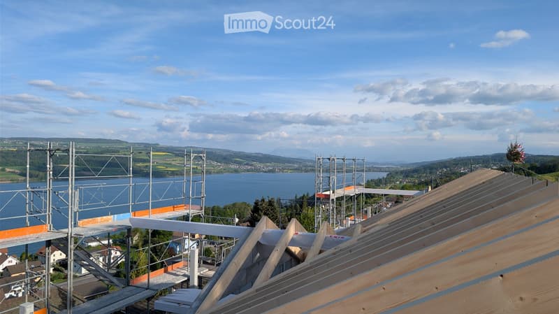 Roof under construction with scaffolding and wooden beams, overlooking a lake and distant hills.