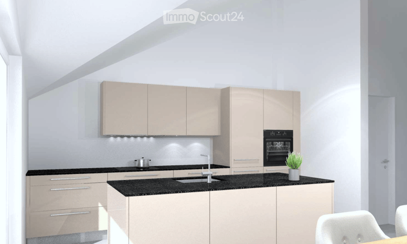 Modern kitchen with light-colored cabinets, black countertop, stainless steel sink, and built-in oven. A small potted plant is placed on the counter.