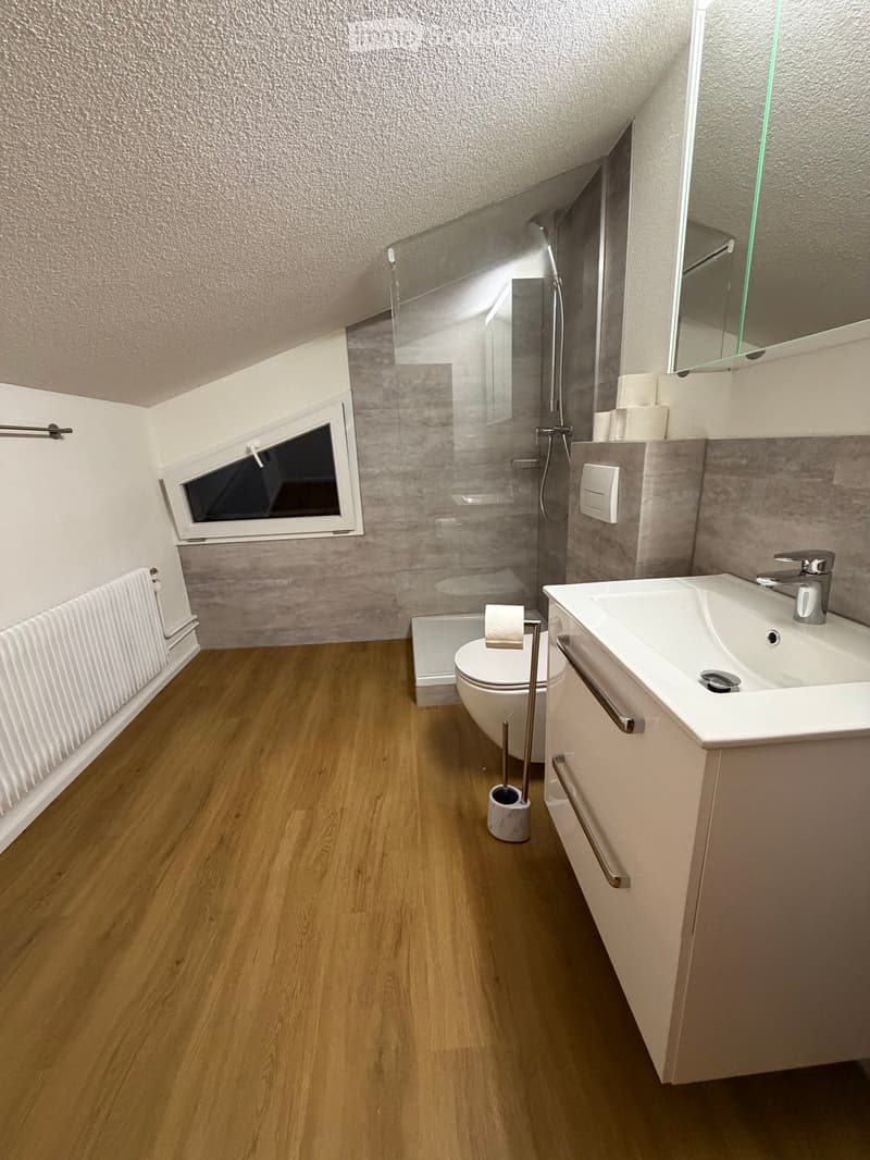 Modern bathroom with wooden flooring, white sink, toilet, mirror, and a glass-enclosed shower area.