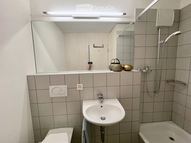 Modern bathroom with a sink, toilet, bathtub, and showerhead. Features a large mirror above the sink and decorative bowls on the counter.