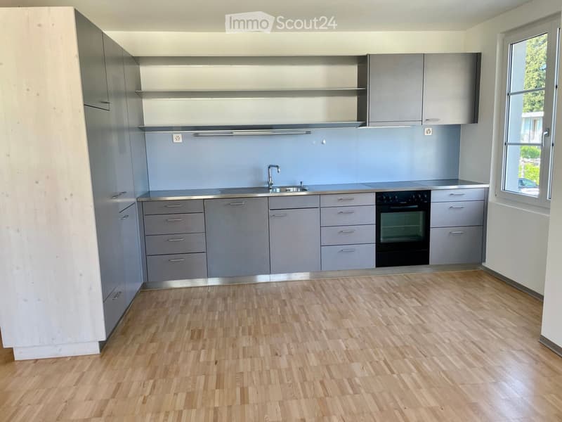 Modern kitchen with light grey cabinets, stainless steel sink, and wooden flooring.
