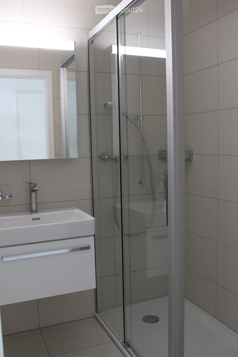 Modern bathroom with a white sink, chrome faucet, large mirror, and a glass-enclosed shower stall with a handheld showerhead.