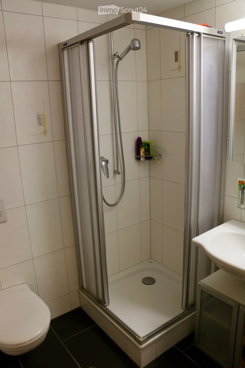Modern bathroom with a walk-in shower, toilet, sink, and mirror. Shower has a glass enclosure and a built-in shelf for toiletries.