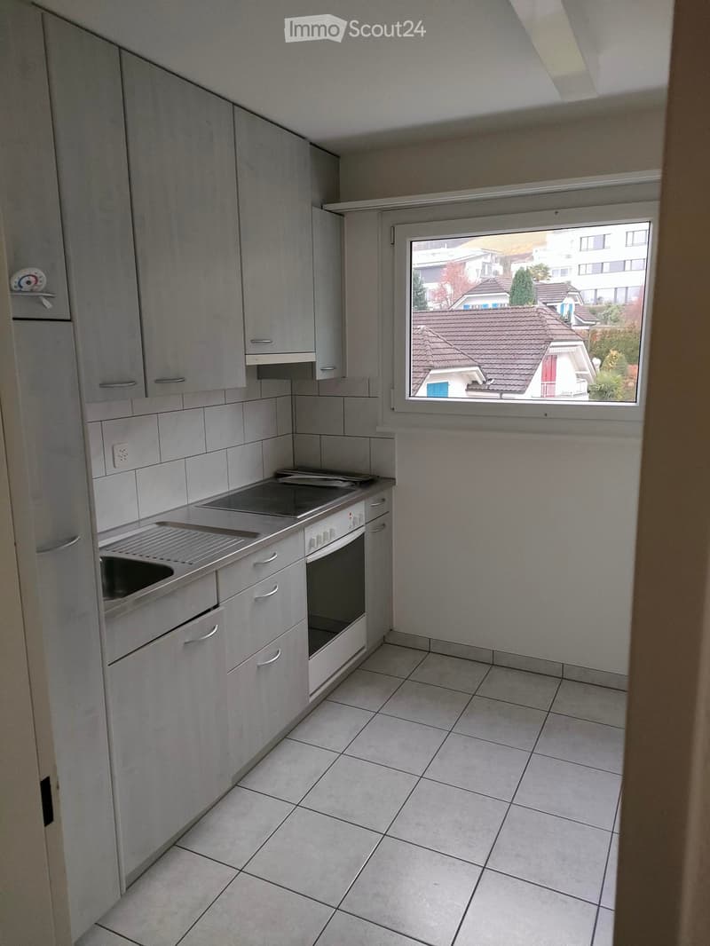 Helle 3.5-Zimmer-Wohnung mit Balkon und schöner Aussicht in Ebikon (3)