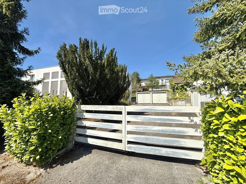 A modern white house with large windows, surrounded by tall trees and greenery, with a gated entrance and a driveway.