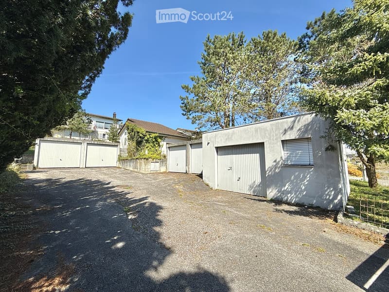 Driveway leading to a modern house with multiple garage doors and surrounding trees.