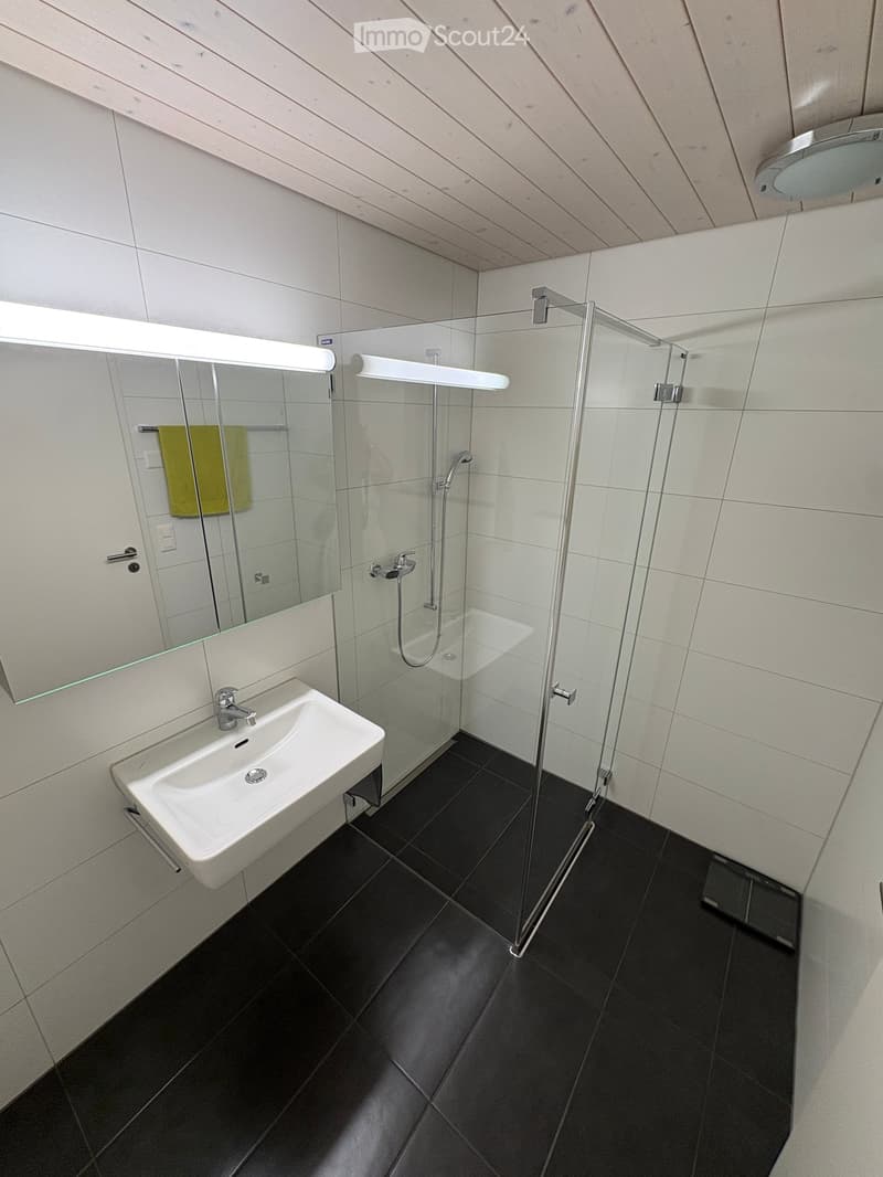 Modern bathroom with a white sink, large mirror, glass-enclosed shower, and a yellow towel hanging on the wall.