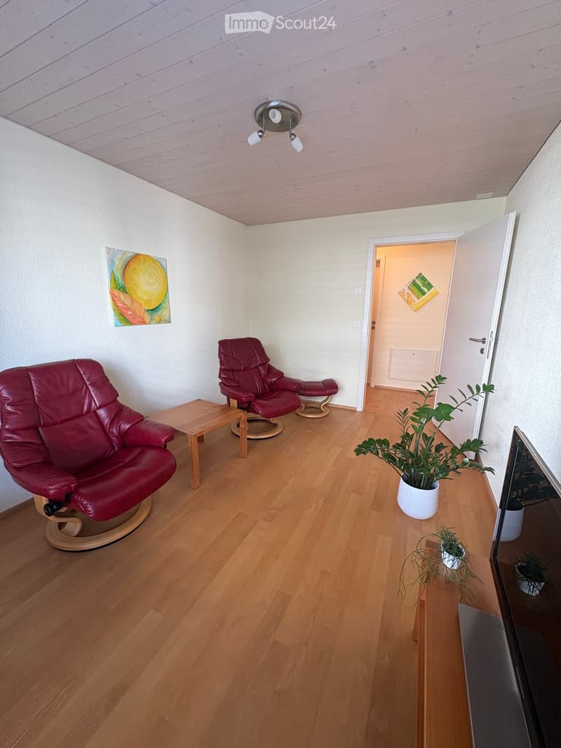 A modern living room with wooden flooring, two red leather chairs, a small wooden table, a potted plant, and a mirror on the wall.