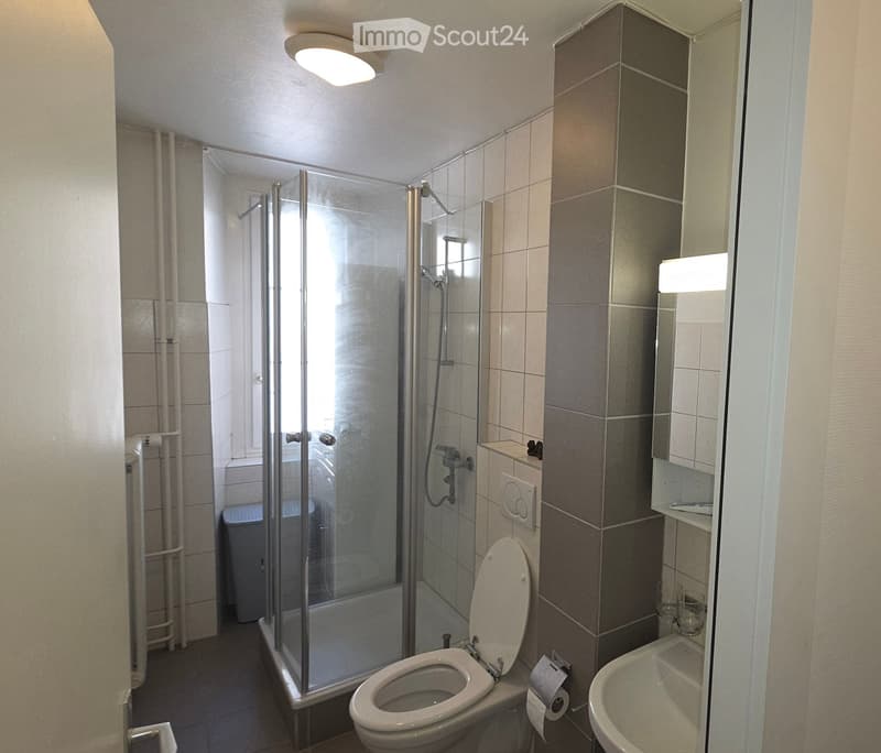 Modern bathroom with a glass-enclosed shower, toilet, sink, and mirror. The walls are tiled in neutral tones, and the space is well-lit with a ceiling light.