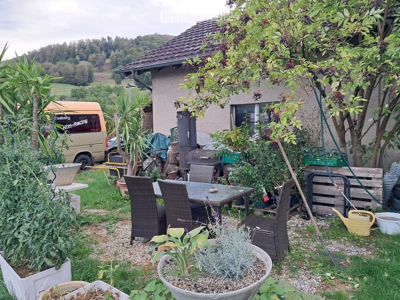 Garden area with a patio table and chairs, surrounded by plants and a house with a tiled roof in the background.