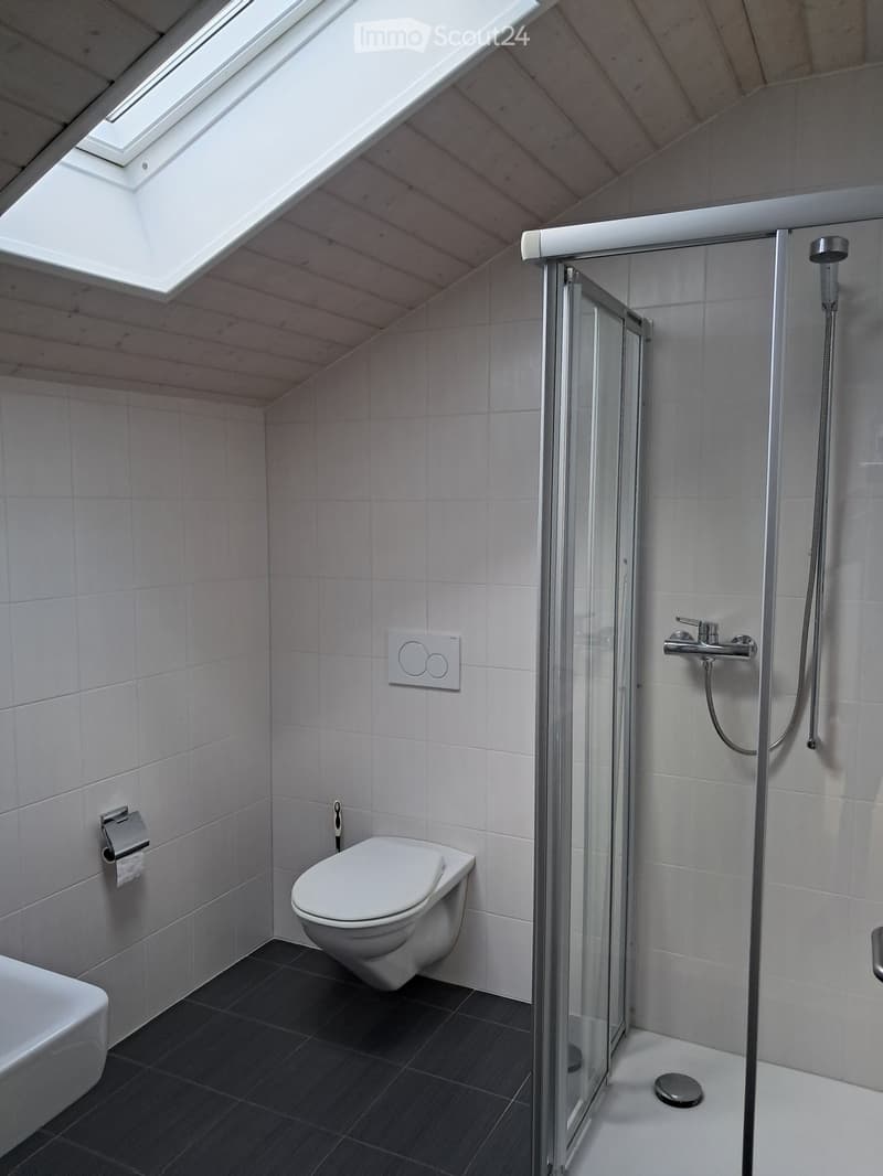 Modern bathroom with a toilet, glass-enclosed shower, dark tiled floor, and skylight windows.