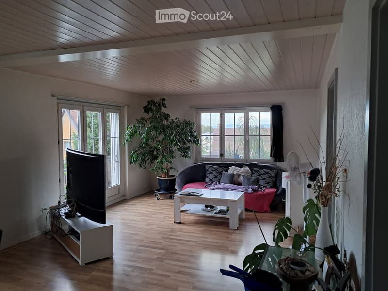 Bright living room with wooden flooring, large windows, a sofa with pillows, a coffee table, a television, and several plants.