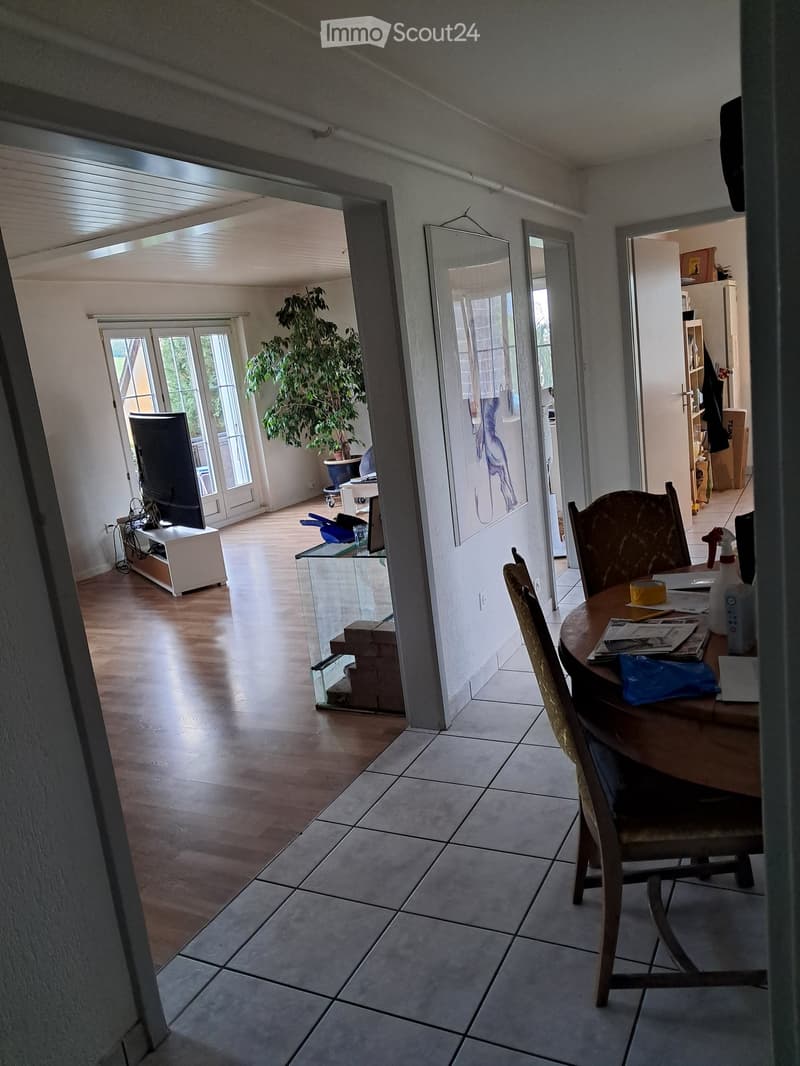 A furnished room with a wooden table, chairs, a TV screen, a large mirror, and a potted plant visible in the background.