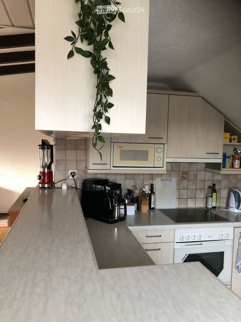 Modern kitchen with light-colored cabinets, marble countertops, and various appliances including a blender, coffee maker, microwave, and oven. A potted plant hangs from the ceiling.