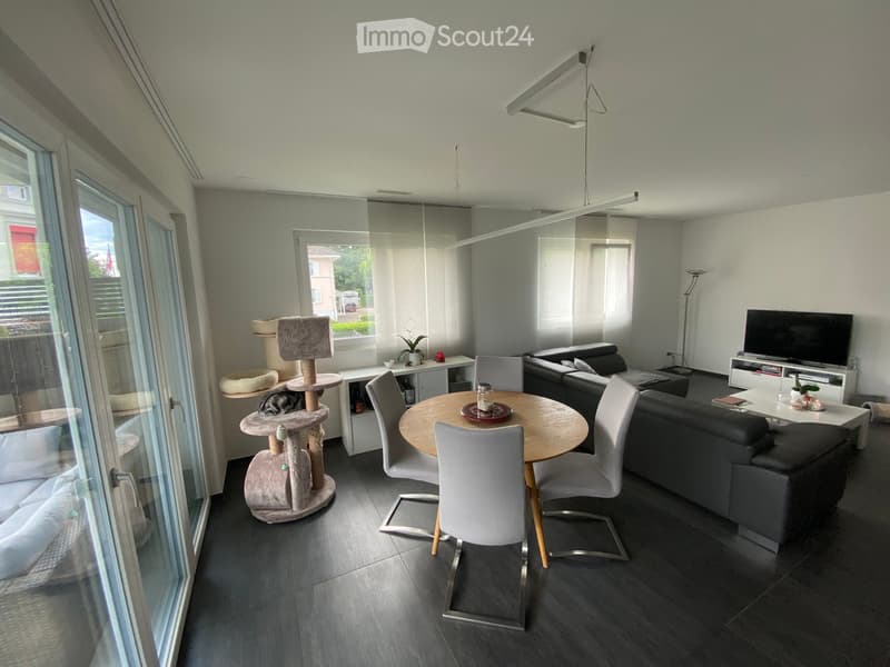 Modern living and dining area with grey sofa, dining table with chairs, cat tree, and television. Large windows and sliding glass door provide natural light.