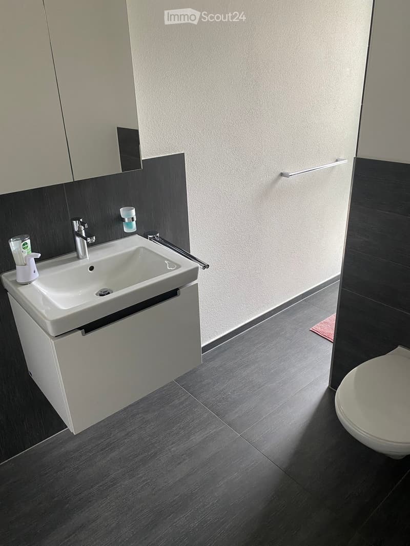 Modern bathroom with a white sink, chrome faucet, toilet, and a handrail on the wall. The floor is dark grey tiled, and the walls are light grey with a dark grey accent strip.