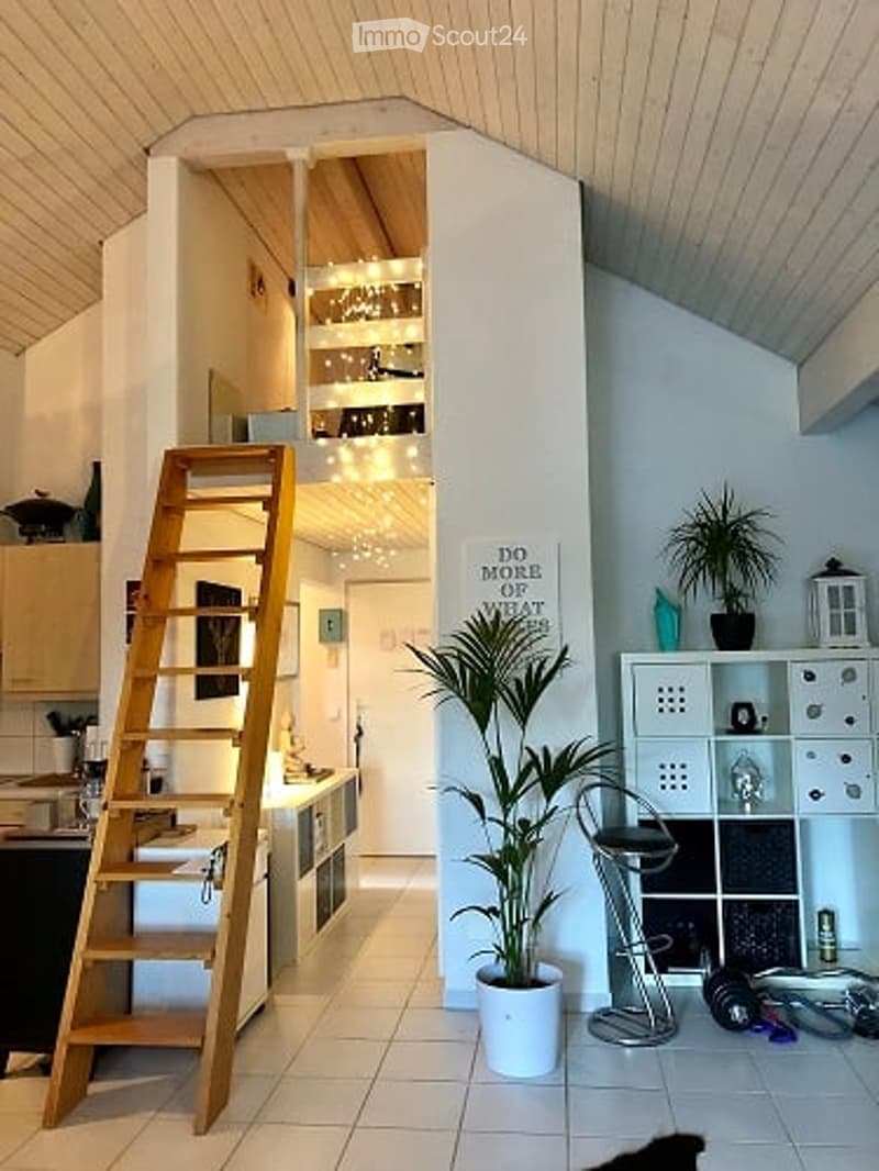 The image shows a modern, open-plan kitchen and living area with light wooden cabinets, a stove, a sink, a tall wooden ladder leading to a loft area, a potted plant, a bar stool, and shelves with decorative items.