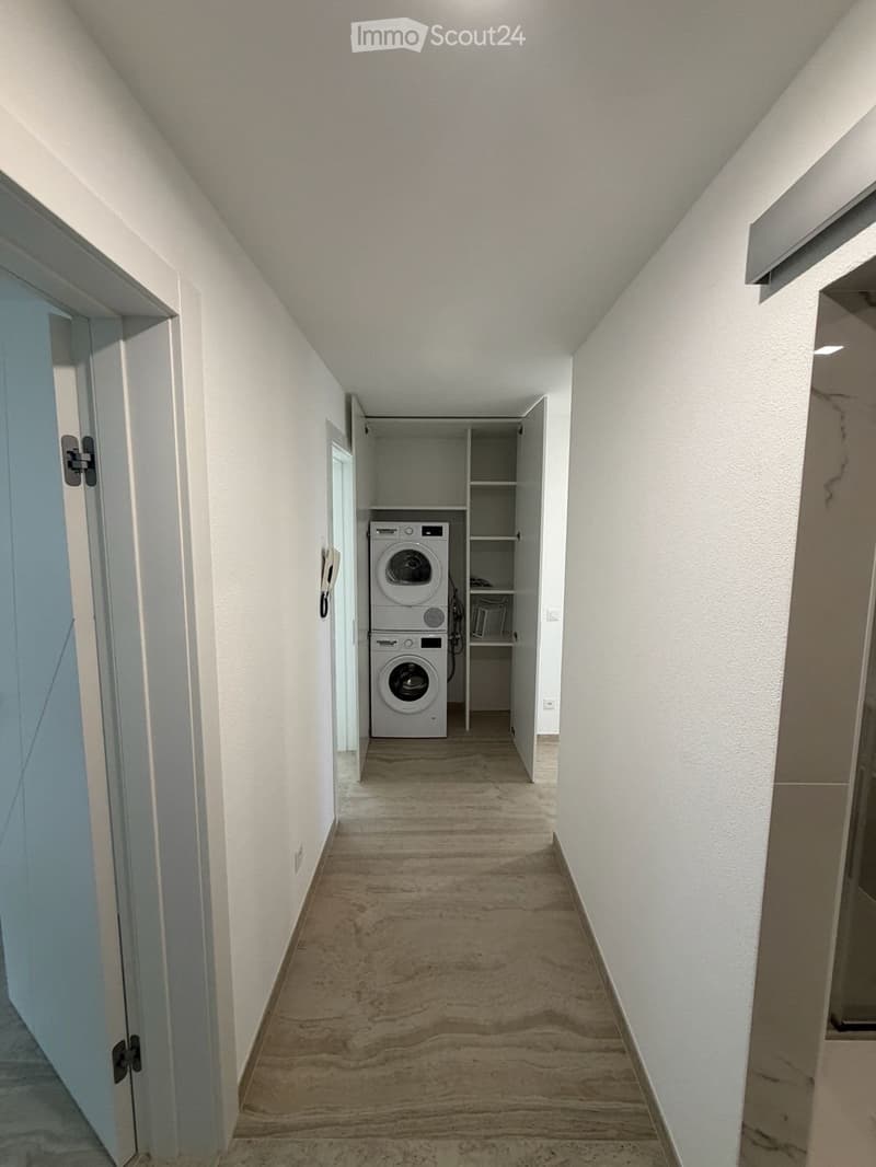 A narrow hallway with light-colored walls and wooden flooring, featuring a built-in closet with a stacked washer and dryer inside.