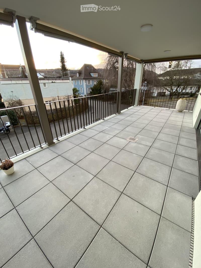 Balcony with tiled floor, metal railing, and two potted plants.
