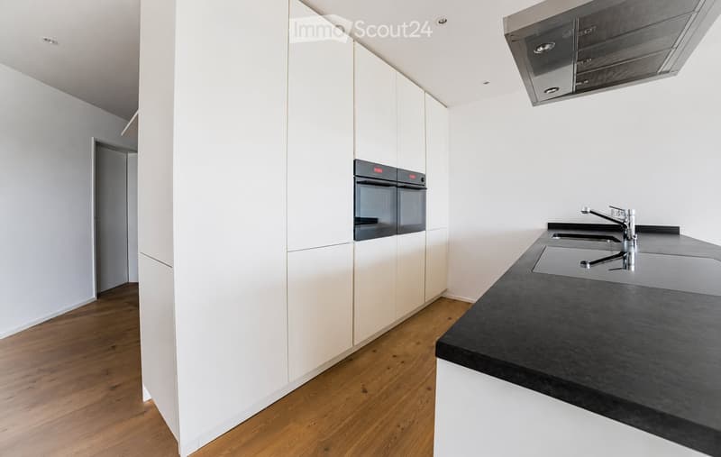 Modern kitchen with white cabinets, black countertop, stainless steel sink and faucet, and built-in oven.