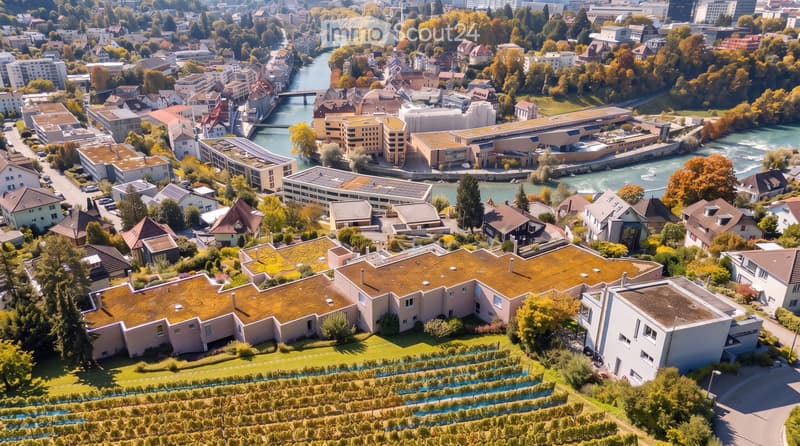 Aerial view of a cityscape with a mix of residential and commercial buildings, surrounded by greenery and a river running through the area.