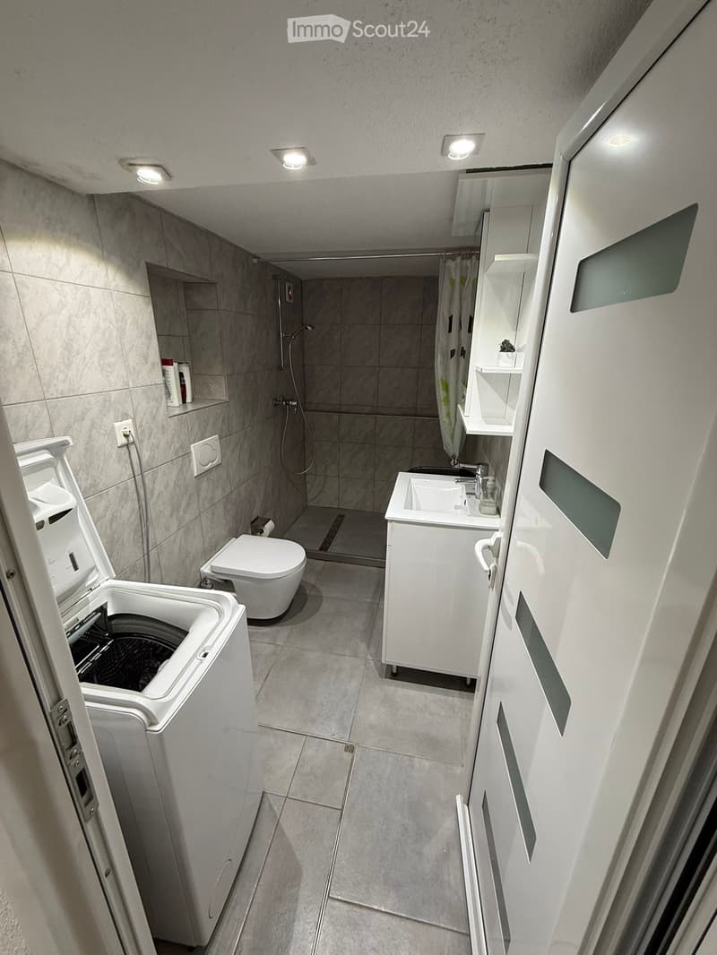small bathroom with shower, toilet, sink, washing machine